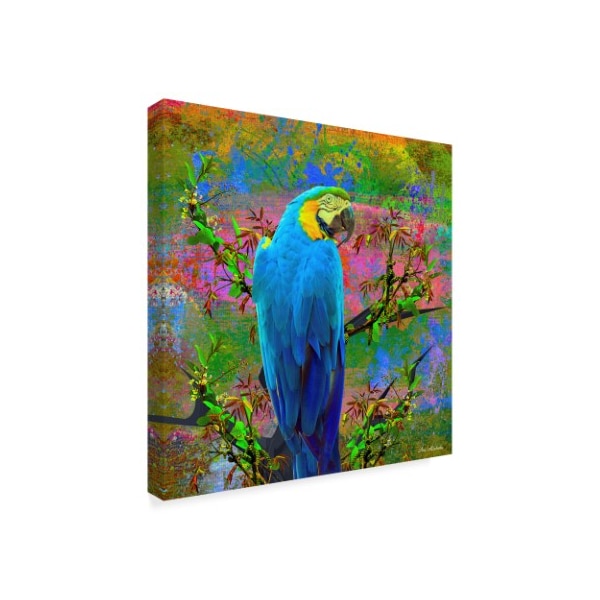 Ata Alishahi 'Bird Collection 24' Canvas Art,35x35